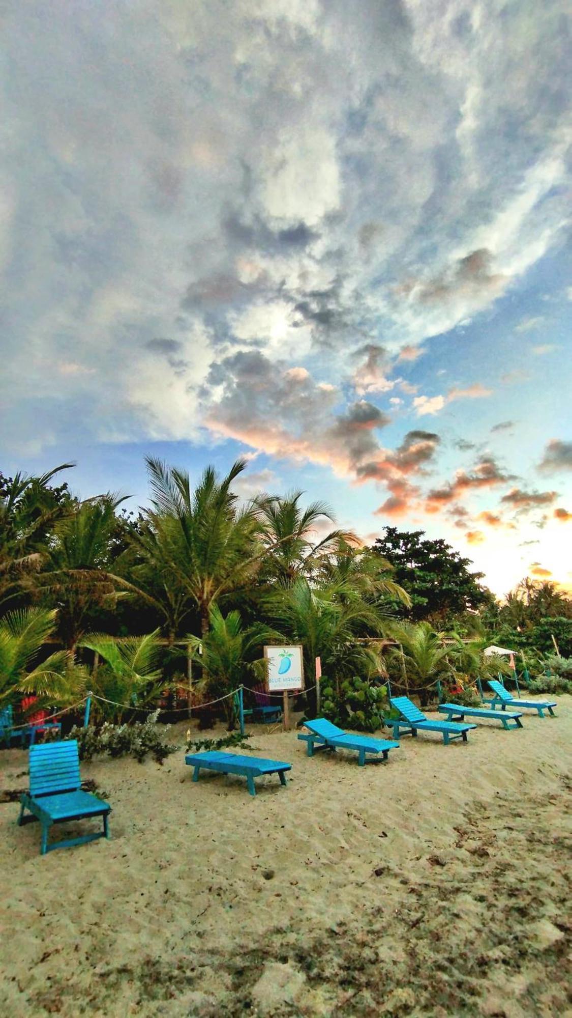 Blue Mango Beach Hotel Guachaca Zewnętrze zdjęcie